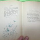 AILA NISSINEN : PUNAPOSKI MARJA-LEENA v 1948 HIENOKUNTOINEN - pikkukuva 2
