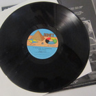 Jukka Tolonen LP UK 1978 A Passenger To Paramaribo - pikkukuva 4