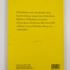 Terttu Aakko : Meillä välähtää : hölmöläistarina - pikkukuva 2