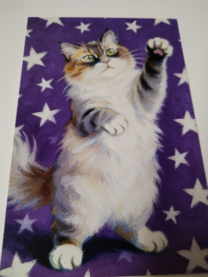 Kissa kortti, kulkematon.