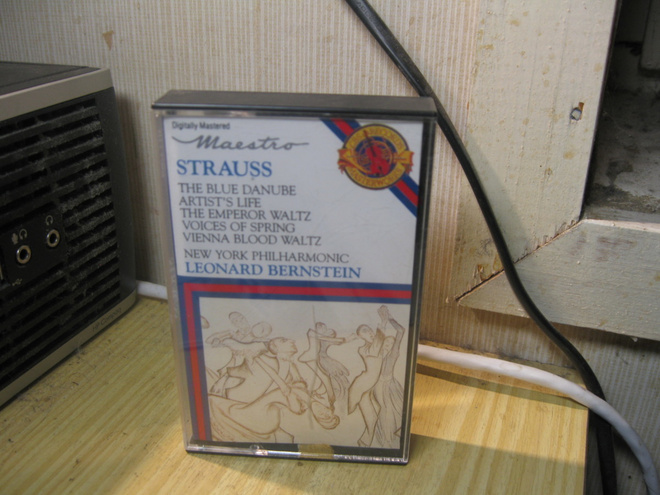 Strauss Blue Danube Leonard Bernstein