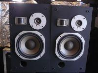 Pioneer