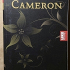 Julia Cameron - Kultasuoni, matka luovuuden sydämeen - pikkukuva 1