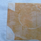 Danielle Dax:Blast The Human Flower LP 1990 - pikkukuva 3