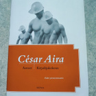 Aaveet / Kirjailijakokous César Aira - pikkukuva 1