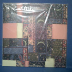 ANIMAL COLLECTIVE - ISN'T IT NOW? M-/M- 2LP - pikkukuva 2