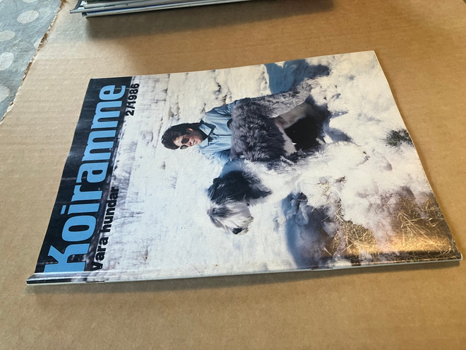 KOIRAMME LEHTI 2/1986 HYVÄ