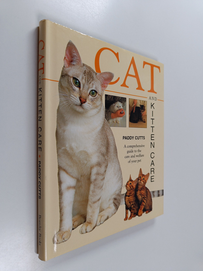 Paddy Cutts : Cat & Kitten Care - A Comprehensive Guide t...