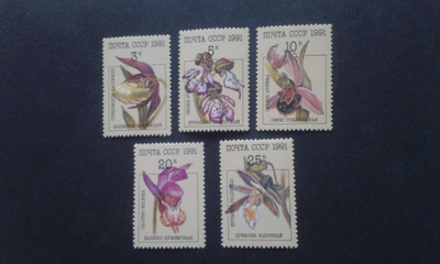 cccp 1991 kukkia **