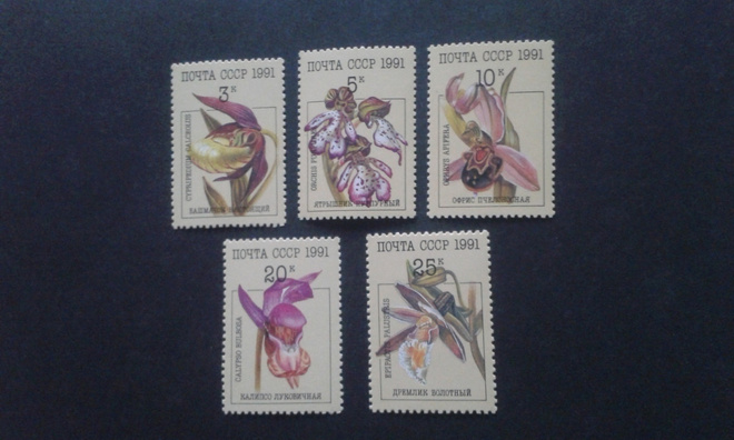 cccp 1991 kukkia **