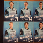2022-23 Pelicans Team Issuet 1,50€ kpl - pikkukuva 5