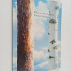Key to the Finnish forest industry - pikkukuva 1