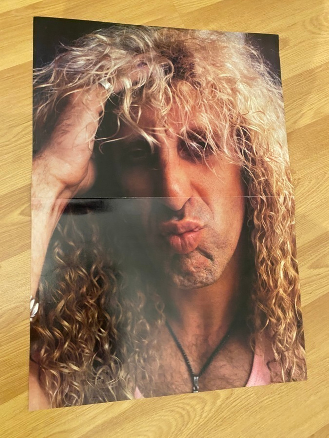 Dee Snider Twisted Sister juliste ja tarra 