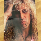 Dee Snider Twisted Sister juliste ja tarra  - pikkukuva 1
