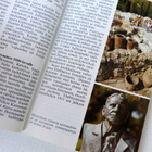 BERLITZ ® Matkaopas Kreikka KREETA - pikkukuva 3