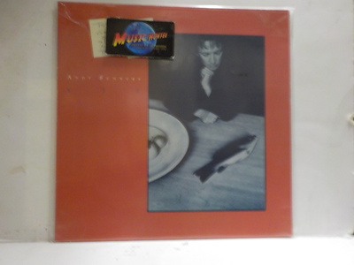 ANDY SUMMERS - XYZ EX+/EX+ EU 1987 LP