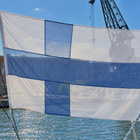 Vahinen viimeinen Suomen lippu - pikkukuva 2