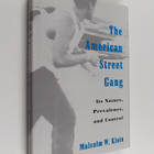 Malcolm W. Klein : The American street gang : its nature,... - pikkukuva 1