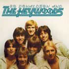 Bo Donaldson and The Heywoods - (LP) - pikkukuva 1