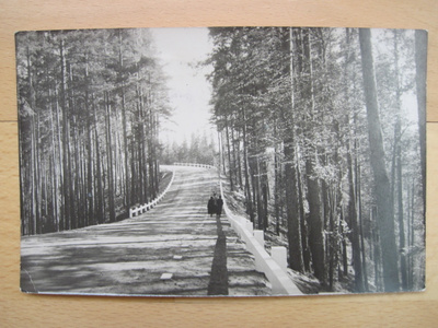 VANHA Postikortti Punkaharju 1945