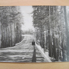 VANHA Postikortti Punkaharju 1945 - pikkukuva 1