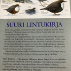 SUURI LINTUKIRJA - pikkukuva 2