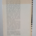 Doris Lessing : Kultainen muistikirja - pikkukuva 2
