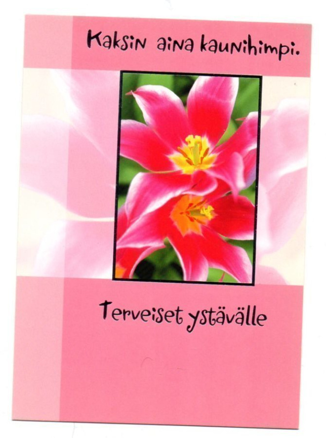 °°TERVEISET YSTÄVÄLLE°° -KORTTI /(Käyttämätön)