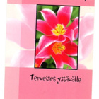 °°TERVEISET YSTÄVÄLLE°° -KORTTI /(Käyttämätön) - pikkukuva 1