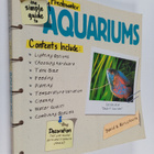 David E. Boruchowitz : The Simple Guide to Freshwater Aqu... - pikkukuva 1