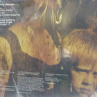 PORCUPINE - DEADWING  2LP 2021 uusi - pikkukuva 2
