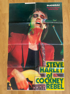 Steve Harley of Cockney Rebel juliste