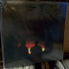 PSEUDOSTRATIFFIED EPITHELIUM - INTO THE FLAMES UUSI LP - pikkukuva 2