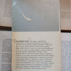 Ford Madox Ford - Kelpo sotilas (nid.) - pikkukuva 3