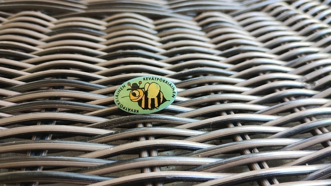 Pinssi Kevätpörriäinen