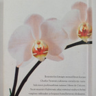 Marcel Proust : Swannin rakkaus - pikkukuva 2