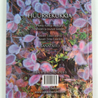 Liisa Laurila : Huurrekukkia : pieniä runoja matkalla tal... - pikkukuva 2