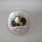 Australia 1 Dollar 2000 Millennium 1oz hopeakolikko - pikkukuva 3