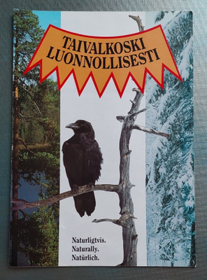 Taivalkoski - esite 90 -luvun alusta