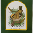 Taidejuliste/art print, 3 kpl lintuaiheisia, Folke Hallin - pikkukuva 3
