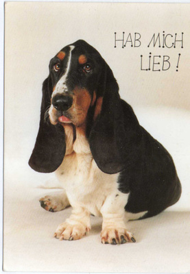 BASSET POSTIKORTTI