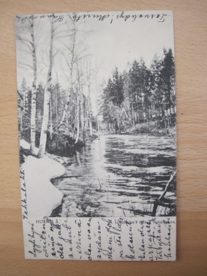 VANHA Postikortti Nurmes 1904