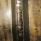 Svenska Familj-Journalen , sidottu , vuosikirja 1878 - pikkukuva 2