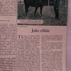 Pellervo N:o 1 tammikuu 1961 - pikkukuva 4
