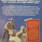 PEKKA JA PÄTKÄ SALAPOLIISEINA DVD - pikkukuva 2