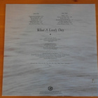 The Peppermints:What A Lovely Day LP.Suomirock. - pikkukuva 2