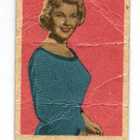 Purkkakuva S. n:o 102 DORIS DAY - pikkukuva 1