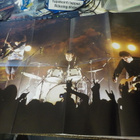 WOLFMOTHER - PLEASE EXPERIENCE LIVE DVD NIMMARILLA - pikkukuva 2