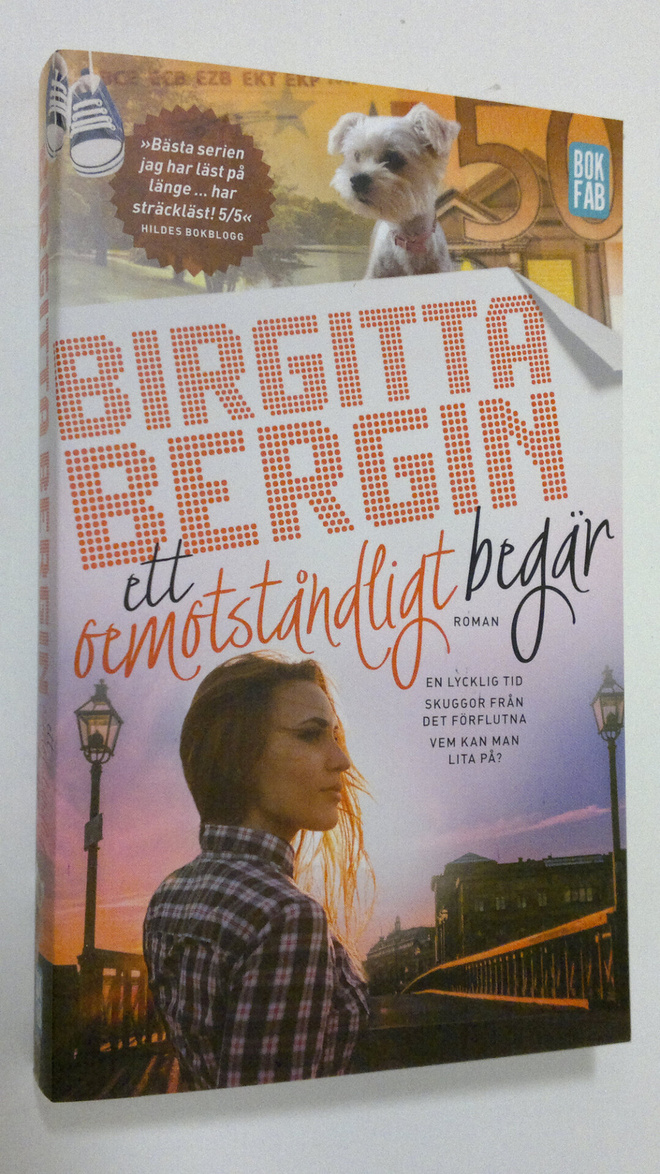 Birgitta Bergin : Ett oemotståndligt begär : roman