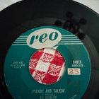 Bo Diddley sinkku - pikkukuva 2